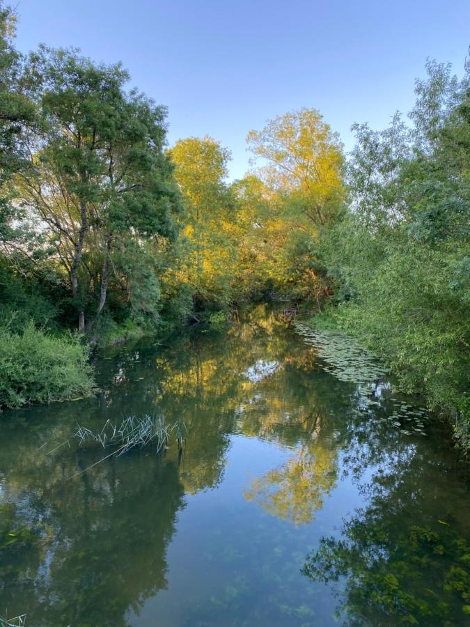 Studio Indre Climatise, La Halte De Cuze, Aux Abords De La Loire A Velo Huismes Exteriér fotografie