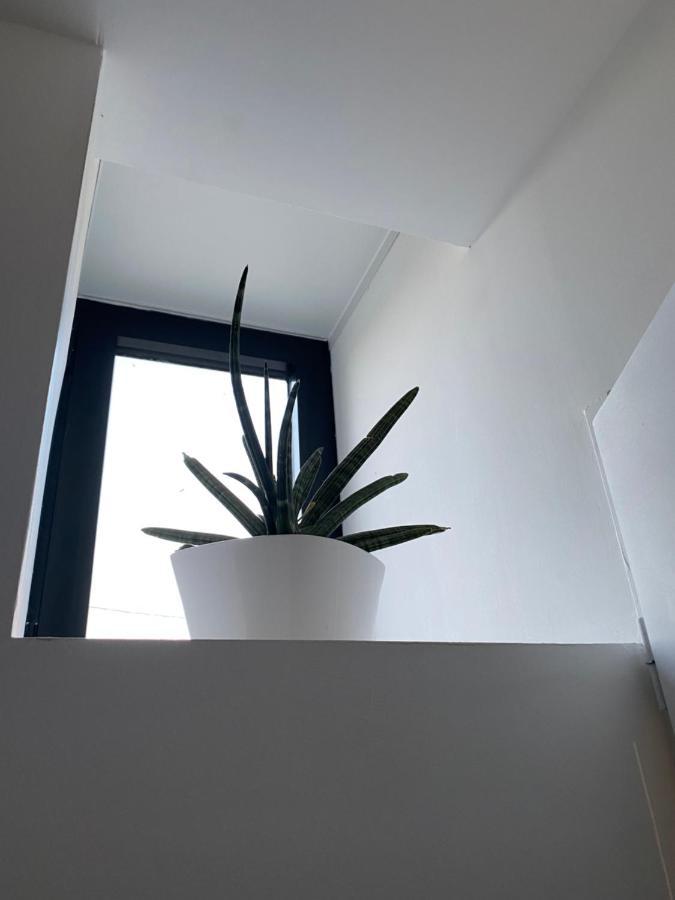 Studio Indre Climatise, La Halte De Cuze, Aux Abords De La Loire A Velo Huismes Exteriér fotografie