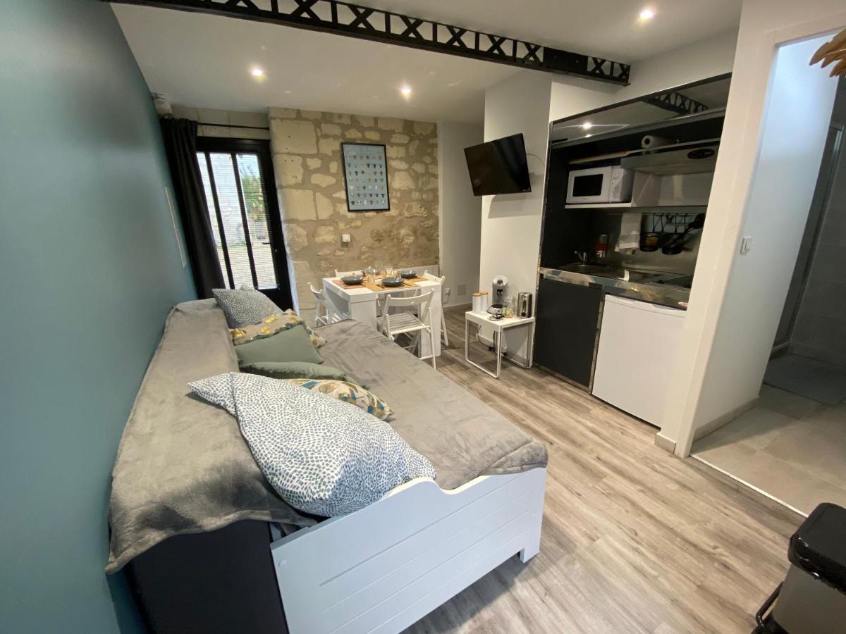 Studio Indre Climatise, La Halte De Cuze, Aux Abords De La Loire A Velo Huismes Exteriér fotografie