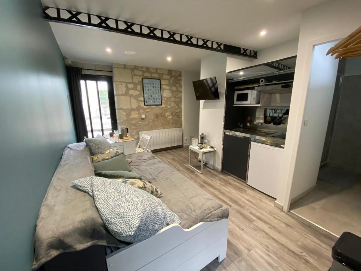 Studio Indre Climatise, La Halte De Cuze, Aux Abords De La Loire A Velo Huismes Exteriér fotografie
