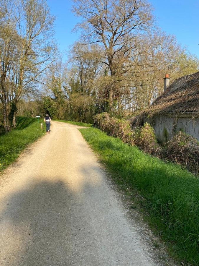 Studio Indre Climatise, La Halte De Cuze, Aux Abords De La Loire A Velo Huismes Exteriér fotografie
