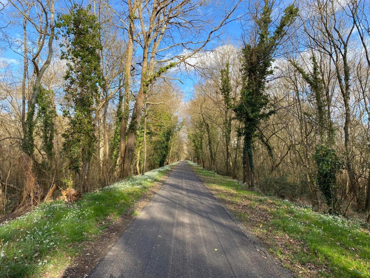 Studio Indre Climatise, La Halte De Cuze, Aux Abords De La Loire A Velo Huismes Exteriér fotografie